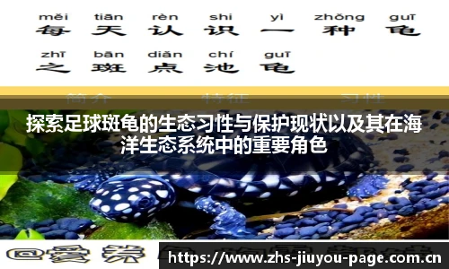 探索足球斑龟的生态习性与保护现状以及其在海洋生态系统中的重要角色